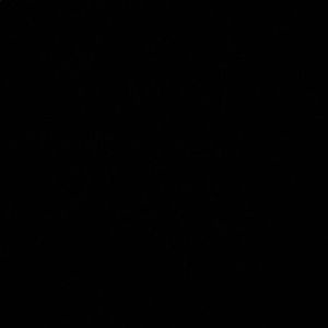 Meet your Posher, Collin